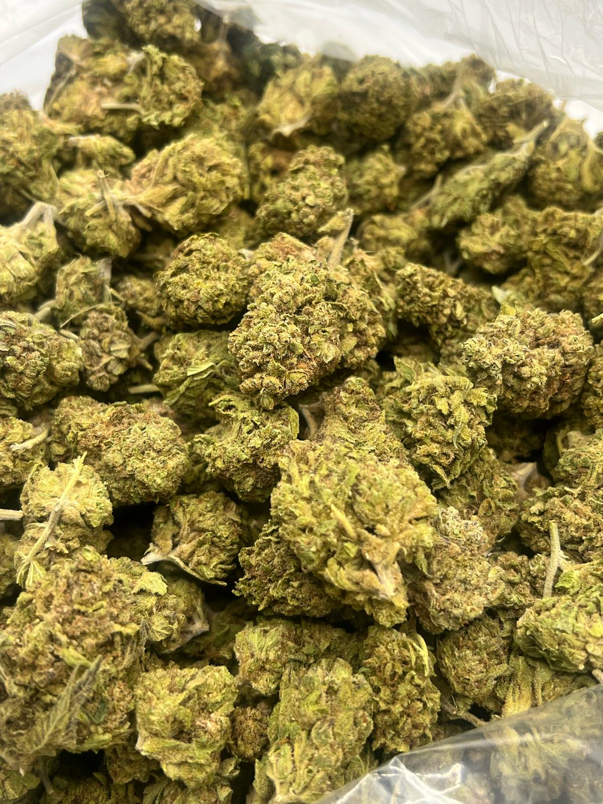 Oreo Kush Outdoor